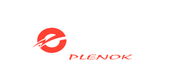 Vremya Plenok Logo